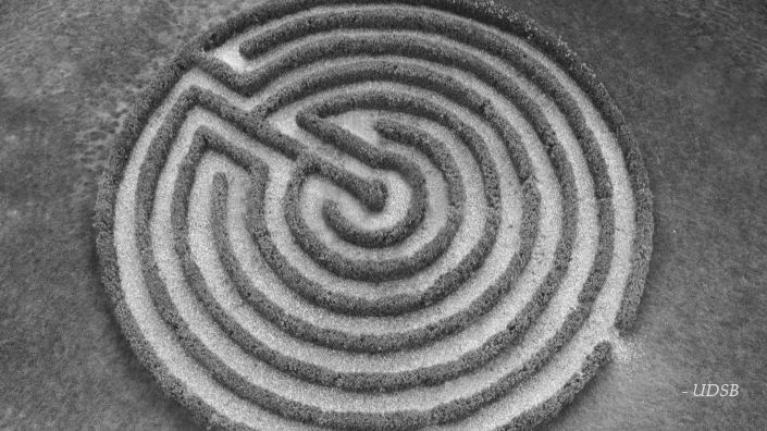 UDSB - Le labyrinthe de la Force d'habitude cosmique