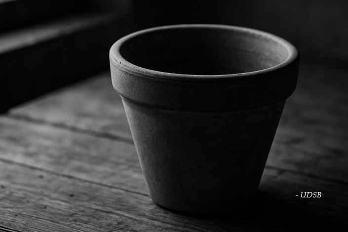 UDSB - Graine de Leadership