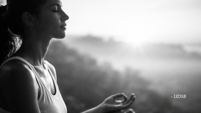 UDSB - Bonne santé : comment la préserver