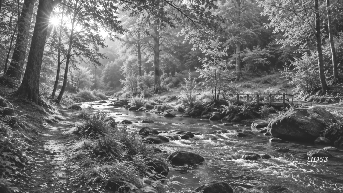 La nature ne nous entoure pas seulement… elle nous révèle.